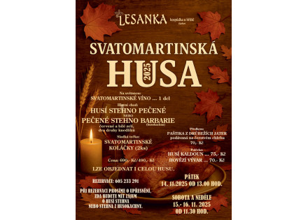 Svatomartinská husa