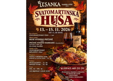 Svatomartinské hody u nás v Lesance